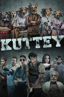 Kuttey | سگ‌ها