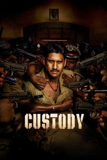 Custody | بازداشت